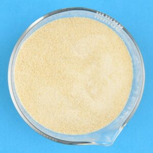 Glycol chitosan