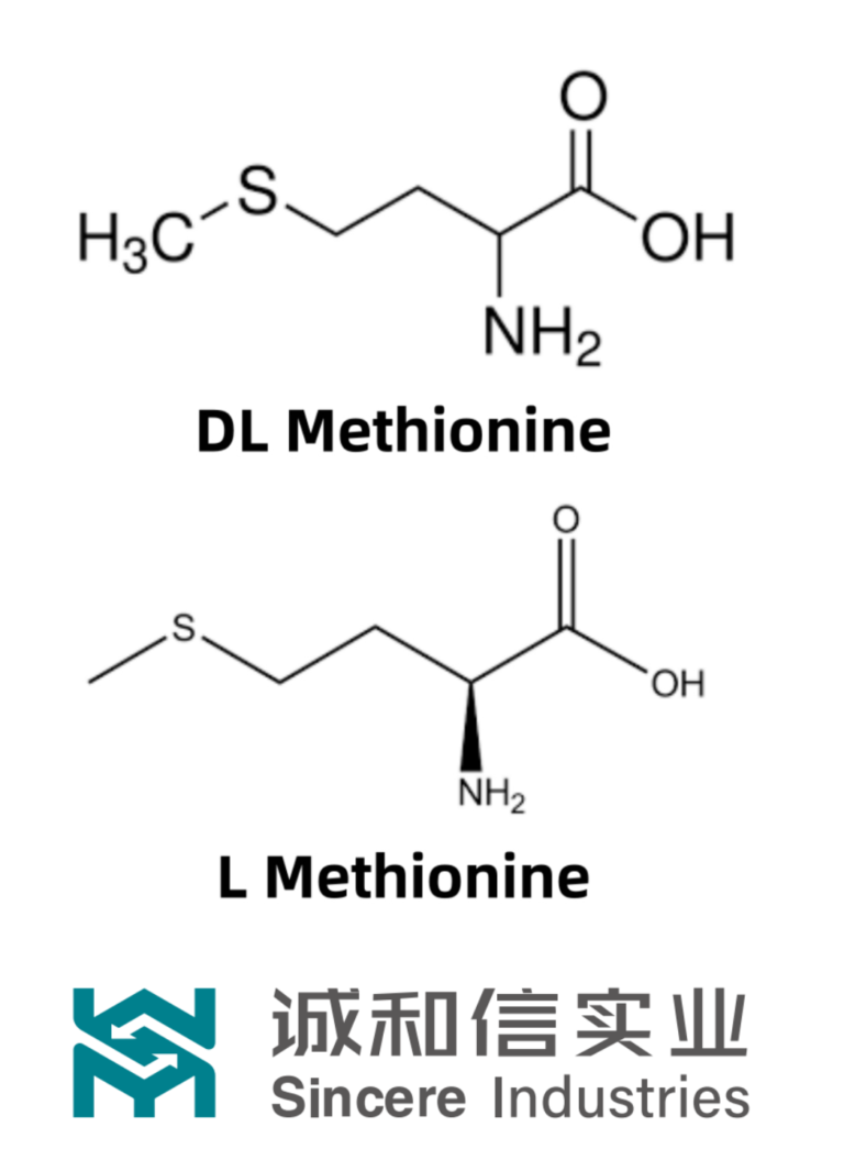 L-Methionine and DL-Methionine: The Building Blocks of Protein