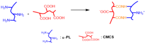 Fig.4 Synthesis of poly-lysine (ε-PL)/carboxymethyl chitosan (CMCS) hydrogel