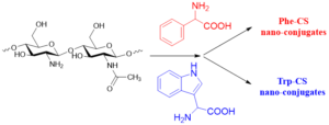 Fig.5 Synthesis of Trp-CS and Phe-CS nanocomposites