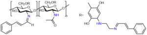 Figure 3 Structure of chitosan functionalized with N-cinnamoyl substituted O-amine