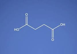 Succinic Acid