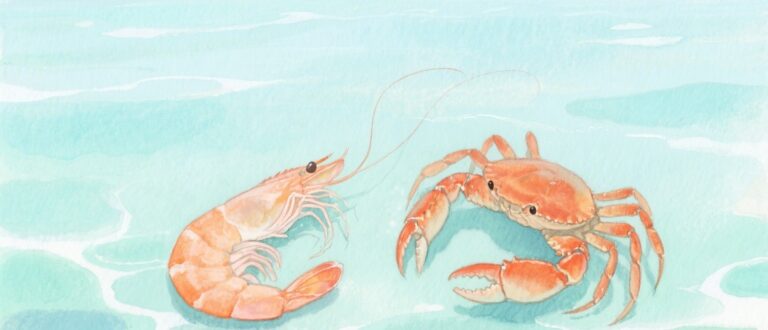 Chitosan Nanoparticles｜Turning Seafood Waste into a Green Solution Against Biofilms