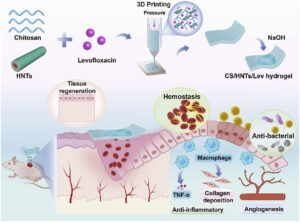 Image source Bioactive Materials